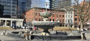 Photo : la fontaine aux chiens (Berczy park dog fountain)